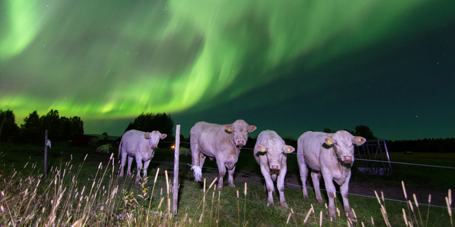 G2 geomagnetic storm, northern Bz, coronal hole